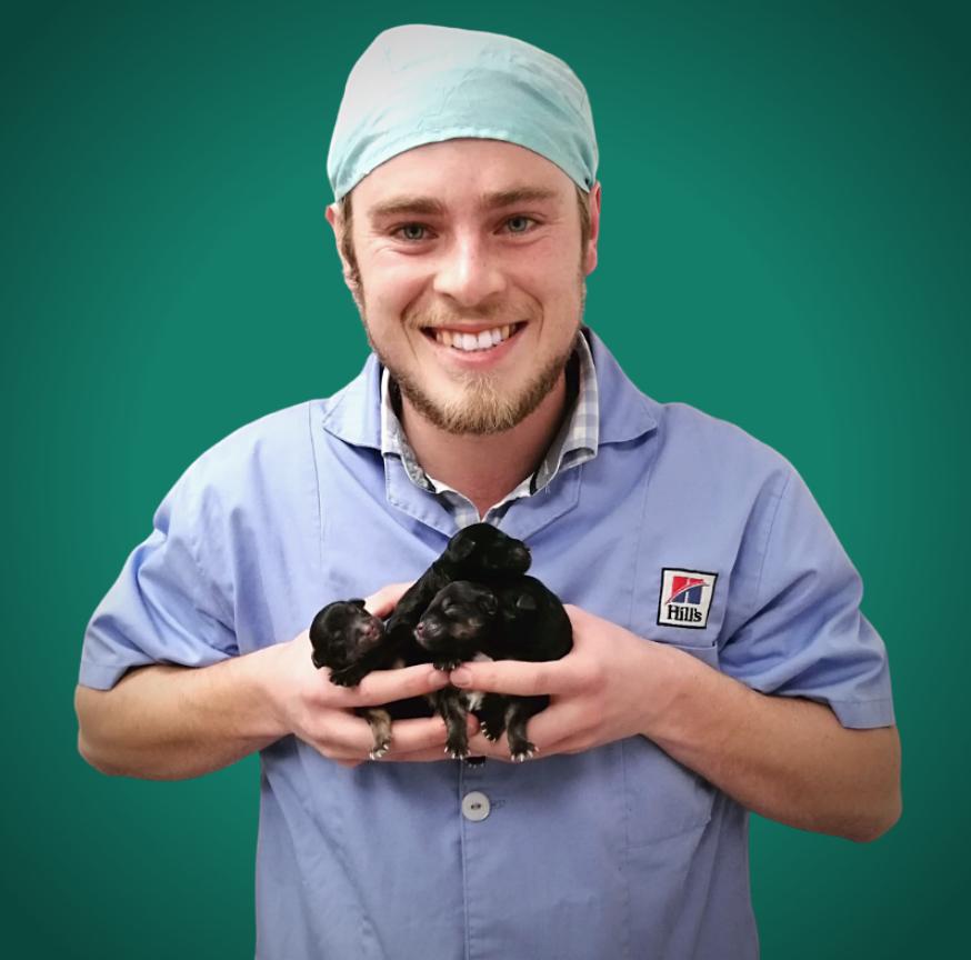 Royal Vet Pet Sitters team member with puppies